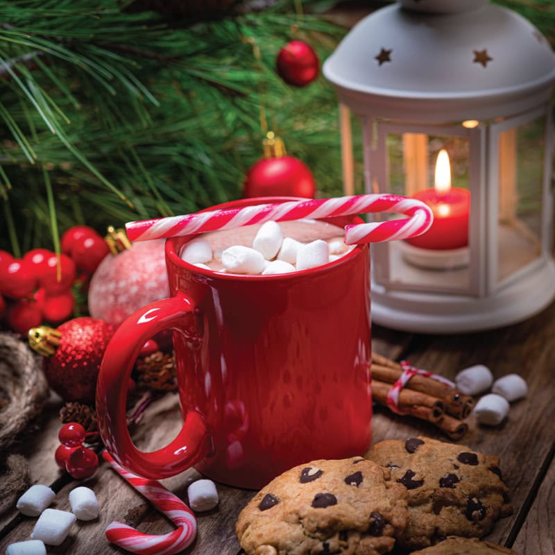 Hot Cocoa and a Candy Cane